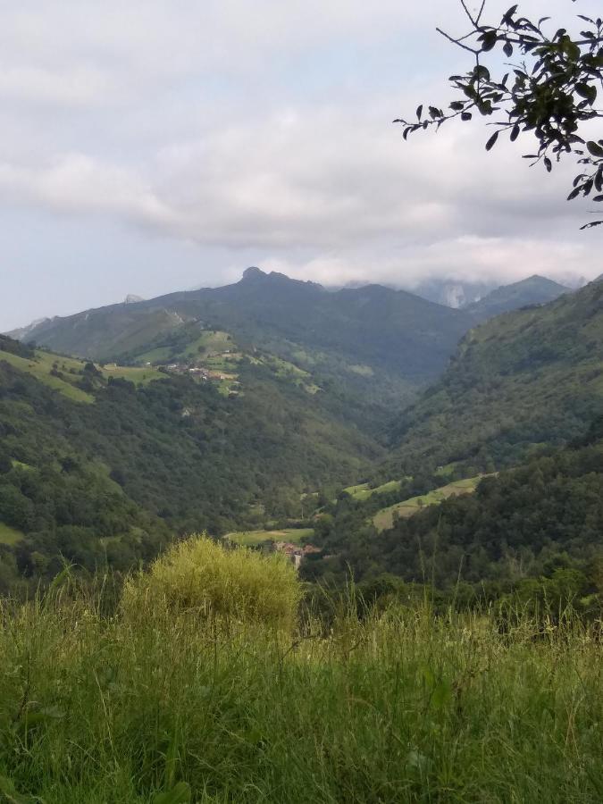 Casa La Fragua 15 Min De Cangas De Onis Bagian luar foto